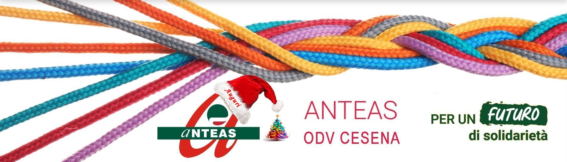  Anteas odv cesena 