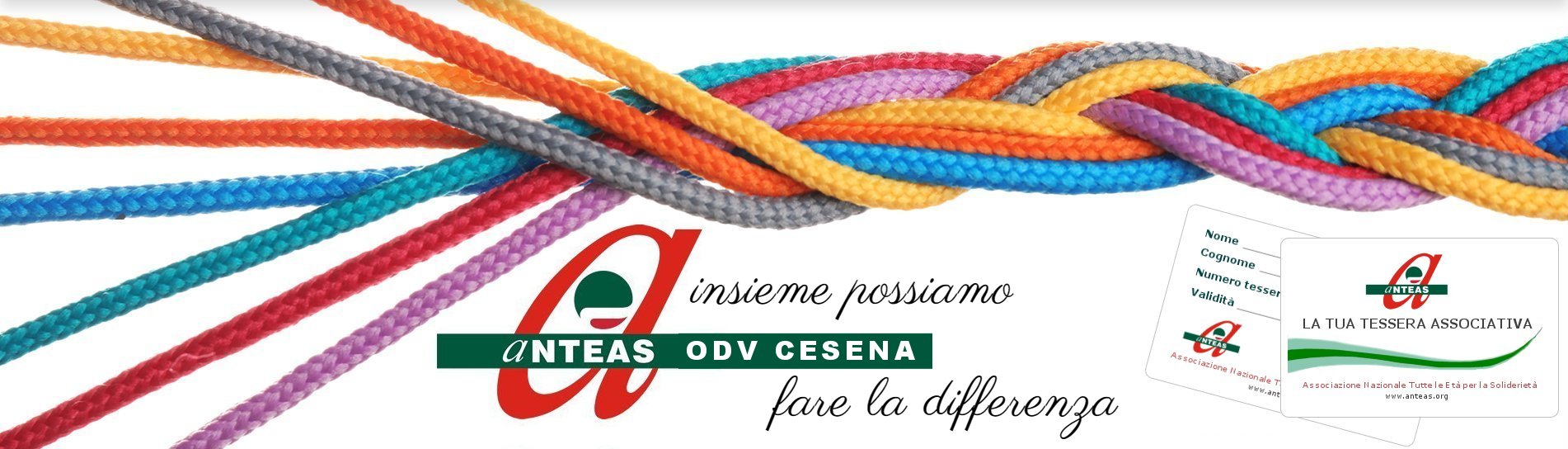  Anteas odv cesena 